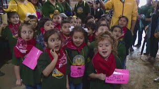 SA Stock Show and Rodeo volunteers help raise money for scholarships [upl. by Latsyk]