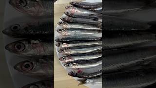 How to clean and make anchovy fillets quickly  Cleaning Fish 5minutecrafts seafood foodie [upl. by Simone868]