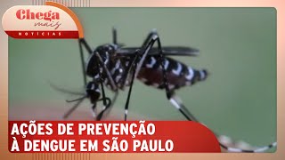 Mutirão contra a dengue é realizado em toda a cidade de SP  Chega Mais Notícias 111124 [upl. by Gherardo]