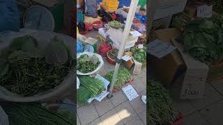 돌미나리조선아욱노지깻잎등  Korean native vegetables 재래시장 koreanmarket vegetables streetmarket [upl. by Heyde]