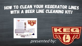 How to Clean Your Kegerators Beer Lines [upl. by Wallache]