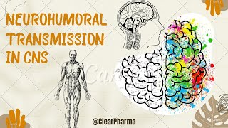 Neurohumoral transmission in the CNS  special emphasis on importance of various neurotransmitters [upl. by Sissie]