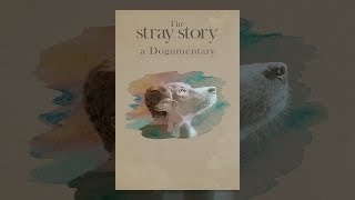 The Stray Story A Dogumentary [upl. by Salahi]