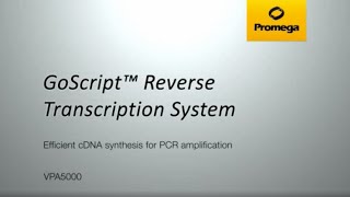 GoScript™ Reverse Transcription System [upl. by Hsina]