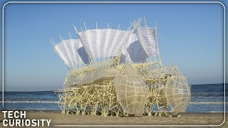 Strandbeest The Kinetic Beasts of Theo Jansen [upl. by Marguerita]