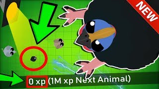 MOPEIO ZERO XP CASSOWARY TROLLING  Mopeio Best amp Funny Moments [upl. by Adina]