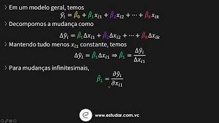 Econometria  Regressão Linear Múltipla  Interpretação Geral [upl. by Novehc429]