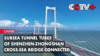 Subsea Tunnel Tubes of ShenzhenZhongshan CrossSea Bridge Connected [upl. by Whitehouse]