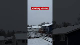 Winnipeg Weather Canada shorts viralshorts youtubeshorts ytshots [upl. by Arayc]