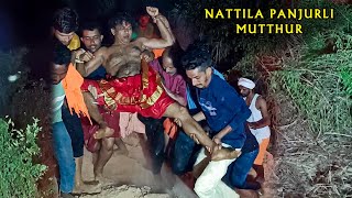 Nattila Panjurli Yenne Boolya Mutthur  ನಟ್ಟಿಲ ಪಂಜುರ್ಲಿ ಎಣ್ಣೆ ಬೂಳ್ಯ ಮುತ್ತೂರು [upl. by Severn]