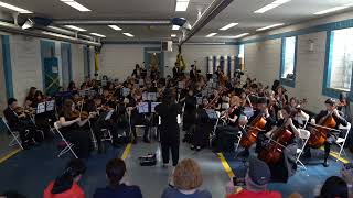 Haverford High School Orchestra at the Haverford Township Day 2024 [upl. by Junieta]