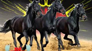 CORRIDOS DE CABALLOS GRUPO LABERINTO MIX BY DJ MEJIA [upl. by Ober]