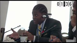 TIMON HOWARD at IACHR CYBERCRIME BILL HEARING 1 [upl. by Milone]