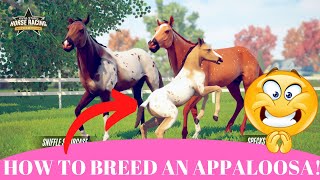 How to breed an Appaloosa Rival Star Horse Racing [upl. by Arlan]