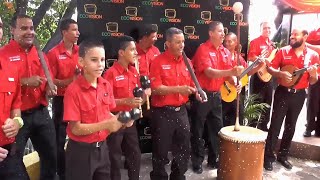 Cardenales de Canoabo  Bienemparrandao 2019 [upl. by Chiquita43]