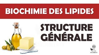 Biochimie  Structure générale des Lipides [upl. by Mckenzie]