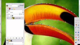 VideoTutorial Deixando apenas um objeto colorido no Gimp [upl. by Dallon212]