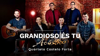 Grandioso És Tu  Acústico  Quarteto Castelo Forte [upl. by Opportina931]