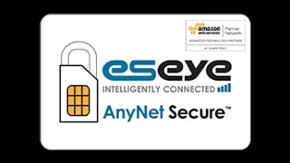 AnyNet Secure  Direct AWS Cloud Integration IoT  M2M  Secure Technology by Eseye [upl. by Ellehctim]