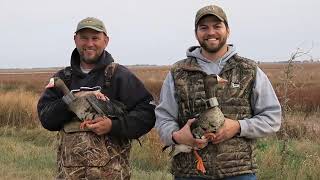 Tracking the movements of Greater Whitefronted Geese at Cheyenne Bottoms [upl. by Dajma366]