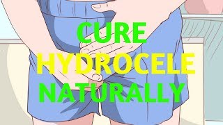 Cure Hydrocele and Varicocele Naturally [upl. by Yale557]