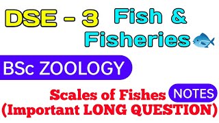 DSE 3 NOTESSCALES OF FISHES IMPORTANT LONG QUESTION UNIT1BSc Zoology By Pratikshya Mishra [upl. by Akcebar]