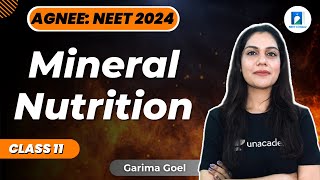 Mineral Nutrition  Class 11  NEET 2024  Biology  Garima Goel [upl. by Nycila]