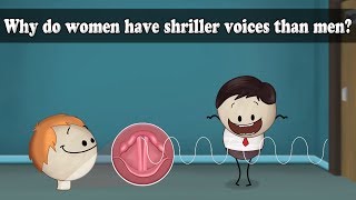 Frequency  Why do women have shriller voices than men  aumsum kids science [upl. by Jarietta337]