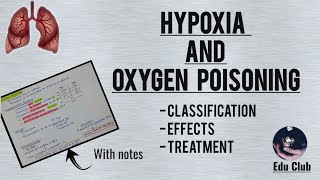 Hypoxia And Its Treatment  Oxygen Toxicity  Respiratory Physiology [upl. by Epotimet]