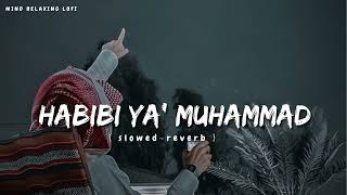 Habibi Ya Muhammad✨ slowed reverb Beautiful Nasheed Naat l Lofi Version l Mind Relaxing Naat [upl. by Mcclees]