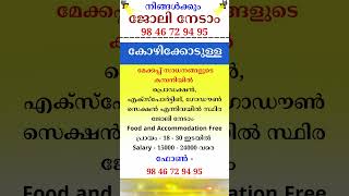 kerala jobs 2024 todays job malayalam jobs November 17 [upl. by Natalie]