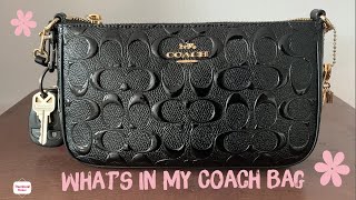 What’s In My Coach Bag  Small Dollar Tree Haul [upl. by Hoshi37]