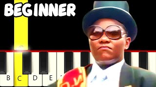 Coffin Dance  Astronomia  Only White Keys  Fast and Slow Easy Piano Tutorial  Beginner [upl. by Minerva]