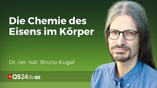 Chemische Komplexität im Körper Dr Bruno Kugel enthüllt die Wahrheit über Eisenmangel  QS24 [upl. by Sayed236]