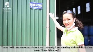 PART 1 HAGA Natural Agarwood Oil The biggest oil plant in Vietnam from Hoang Giang manufacturer [upl. by Shiri]