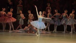 Yekaterina Osmolkina Mariinsky Ballet Queen of the Dryads Don Quixote [upl. by Namrak494]