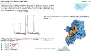 pyq CSIR NET JUNE 2024 MOR P5 [upl. by Idette]