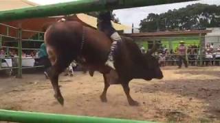 Jaripeo Ranchero Rancho Los Mezquites [upl. by Codding]