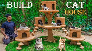 Building a Cat House for a Rescued Kitten  Heartwarming Transformation [upl. by Elspet642]