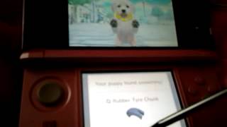 How to train your puppy on NintendogsCats [upl. by Auqenahs]