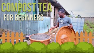 How To Make Liquid Fertilizer DIY Compost Tea  Types Of Organic Fertilizer [upl. by Benedikt]