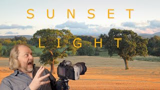 Capturing Sunset Magic  Barley Fields Trees amp Cinematic LUT Editing [upl. by Deutsch936]