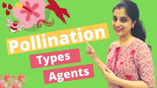 🌺 Pollination and Fertilisation Class 9 ICSE biology Types Agents of Pollination in Plants Class 9 [upl. by Annahs174]