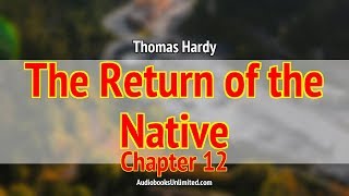 The Return of the Native Audiobook Chapter 12 [upl. by Ranilopa]