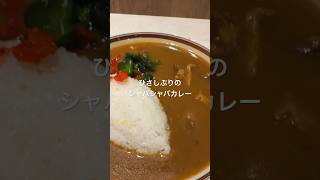 【帰ってきたモンスナックのシャバシャバカレーを食べる】カレー 新宿 ひとり旅 ひとり鉄道旅 新宿紀伊國屋ビル 紀伊國屋書店 モンスナック カレーライス [upl. by Lerat]