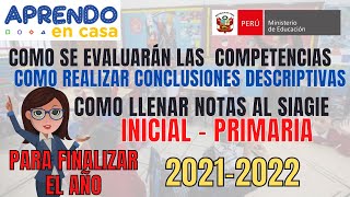 ORIENTACIONES CONCLUSIONES DESCRIPTIVAS LLENADO SIAGIE AÑO LECTIVO 2021 INICIAL Y PRIMARIA [upl. by Aleacin]