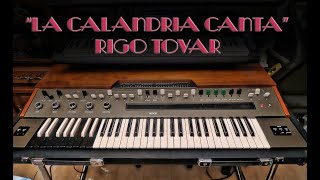 La Calandria Canta Rigo Tovar Cover Yamaha YC30 [upl. by Nannahs871]