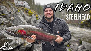 IDAHO STEELHEAD FISHING [upl. by Evelyn466]