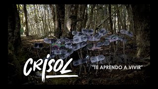 CRISOL  TE APRENDO A VIVIR [upl. by Seessel]