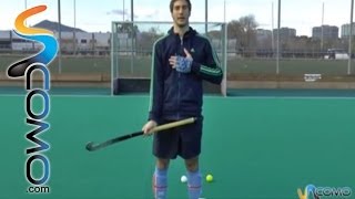 Reglas básicas del Hockey [upl. by Charmian753]